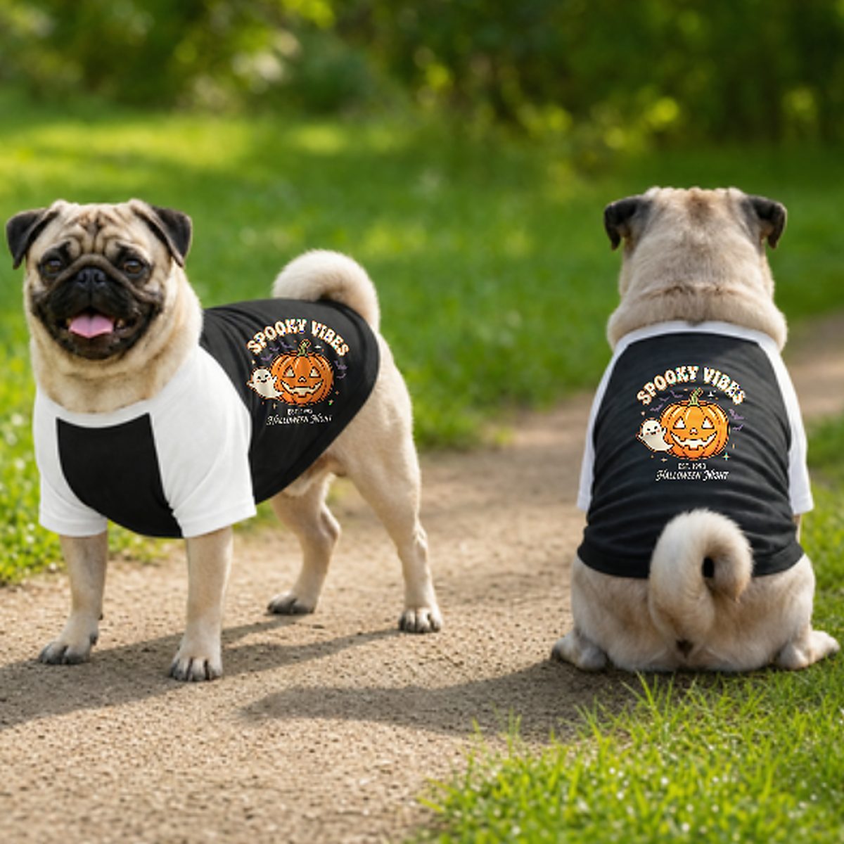 Spooky Vibes Halloween Dog T-Shirt | Pumpkin & Ghost Raglan Dog Costume Shirt