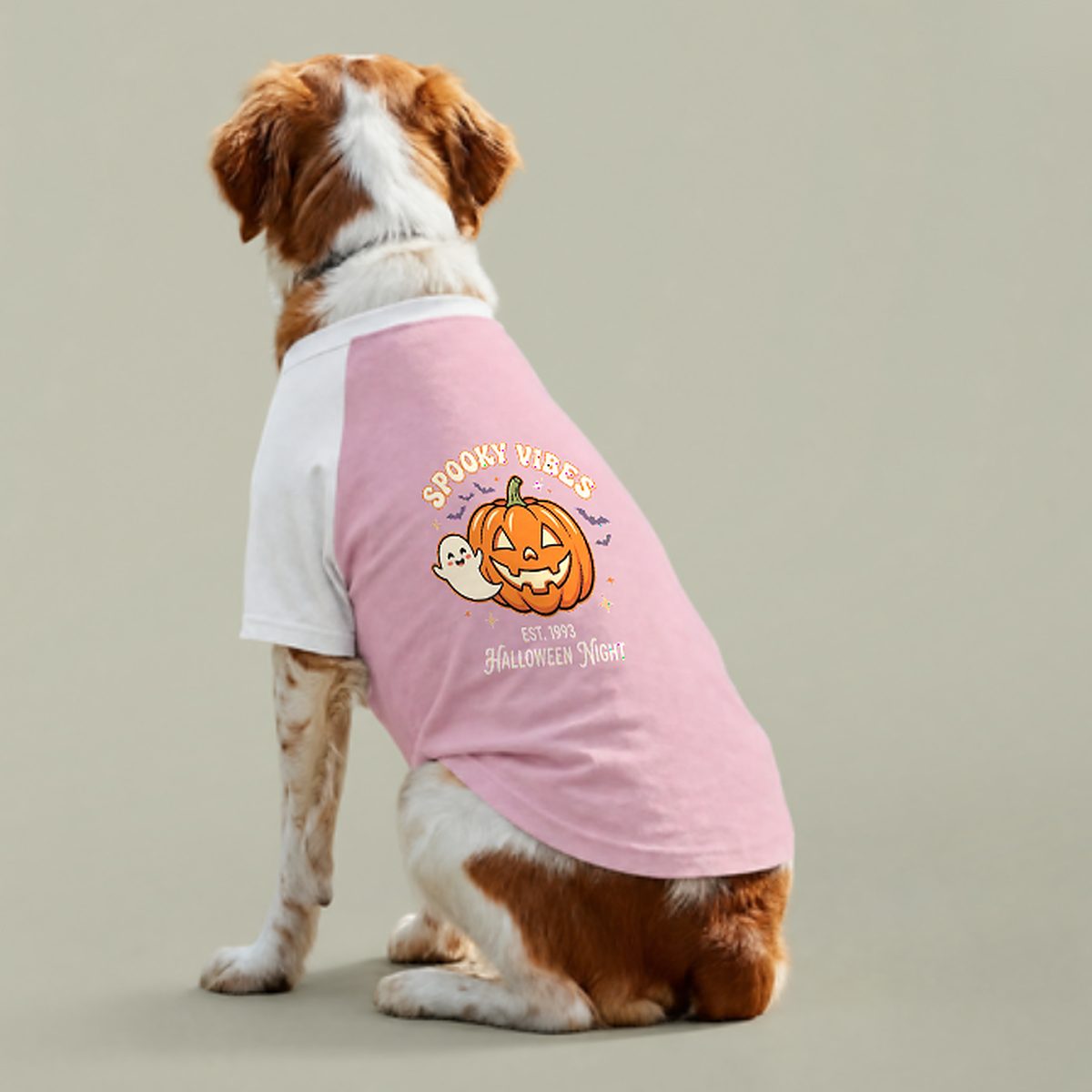 Spooky Vibes Halloween Dog T-Shirt | Pumpkin & Ghost Raglan Dog Costume Shirt
